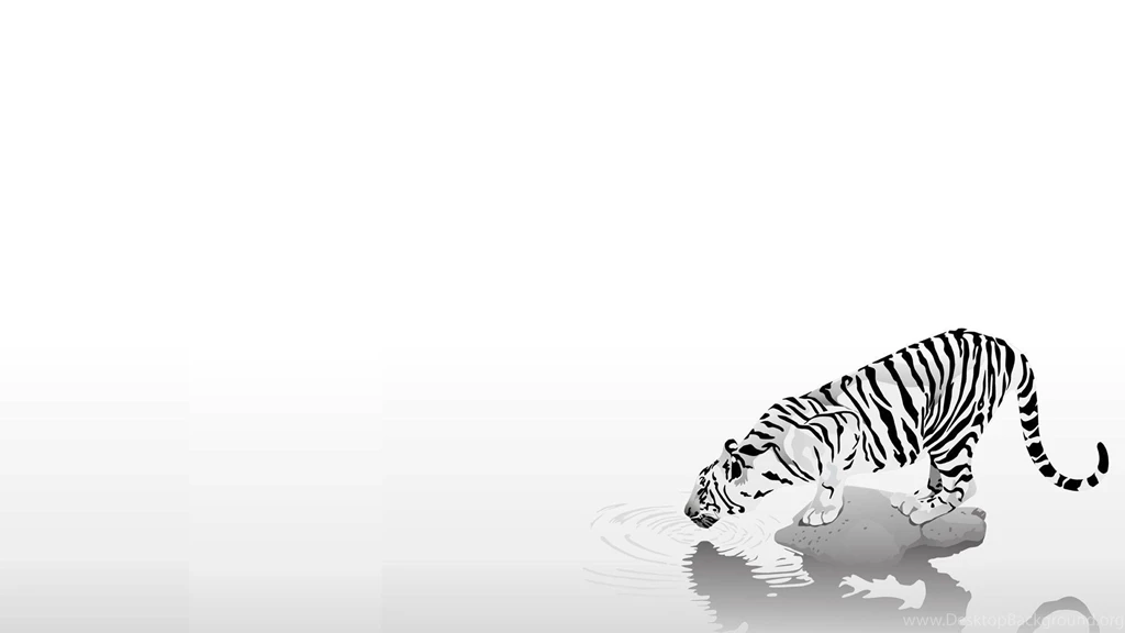 Tiger HD Wallpapers