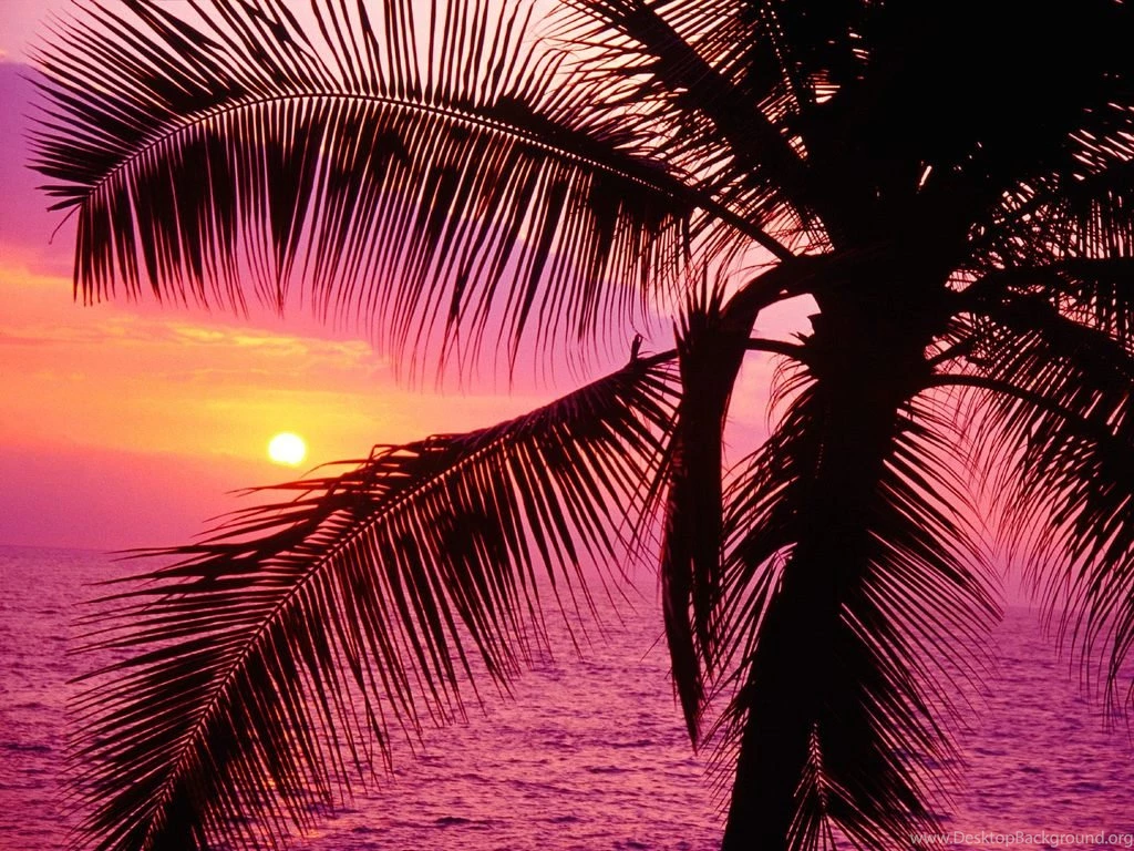 Girly Glefia.com Wallpapers