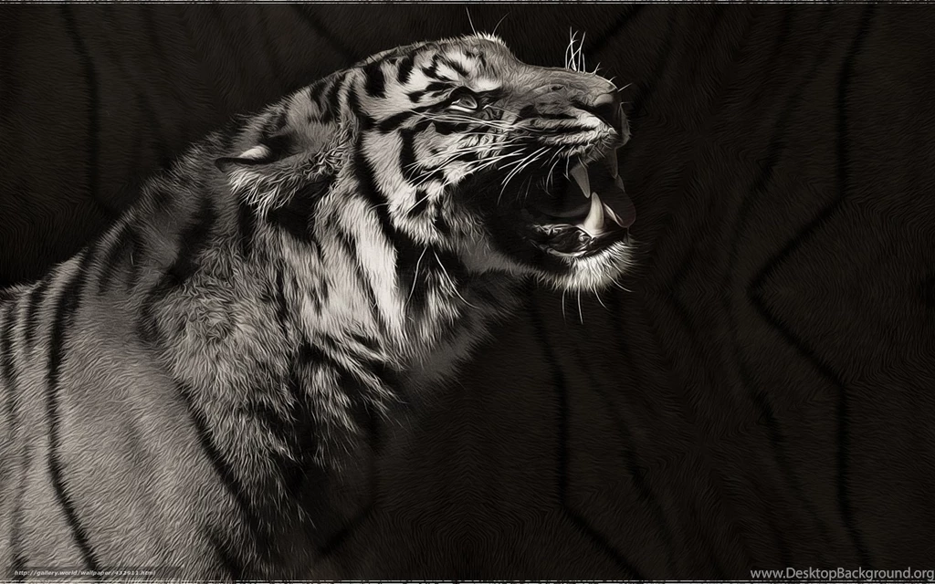 432911_tigr_art_xishhnik_chyorno beloe_1680x1050_www.Gde Fon.com.jpg