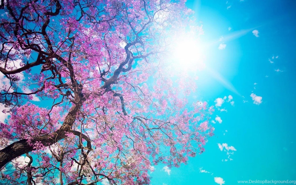 Girly Wallpapers For Desktop