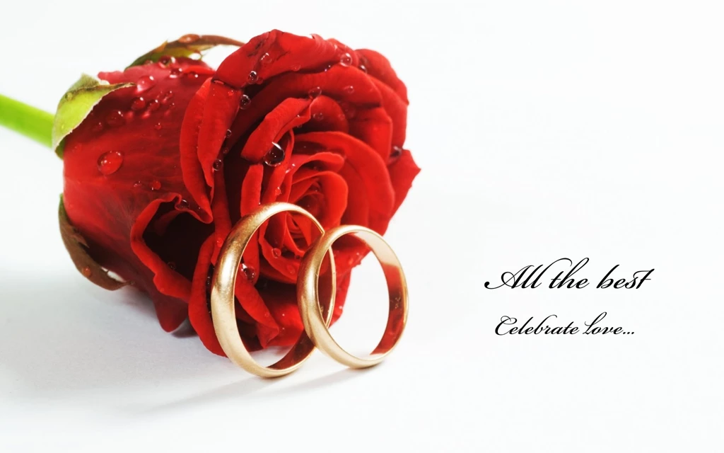 Red Rose Images