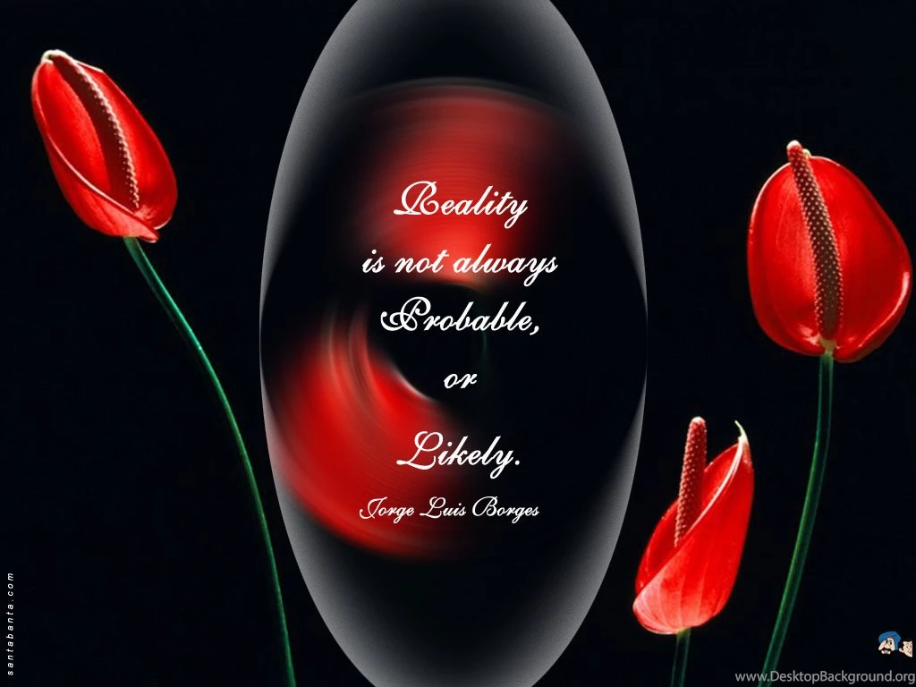 Black And Red Rose Wallpapers