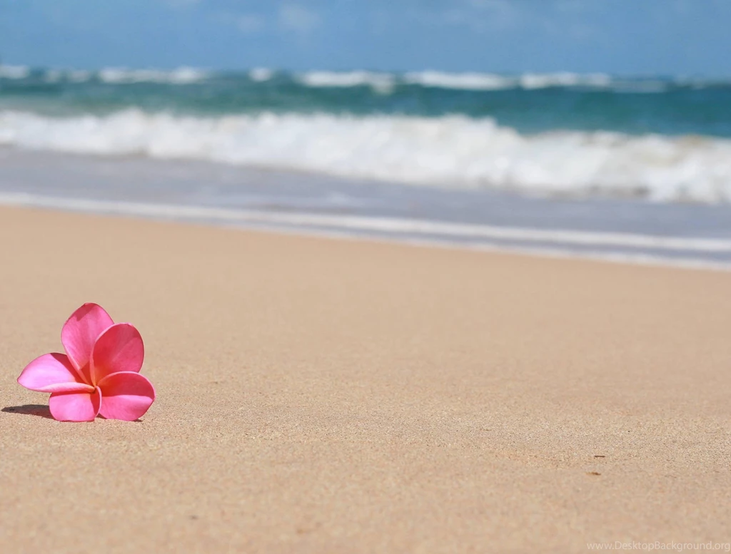 Top HD Sandy Beach Wallpapers