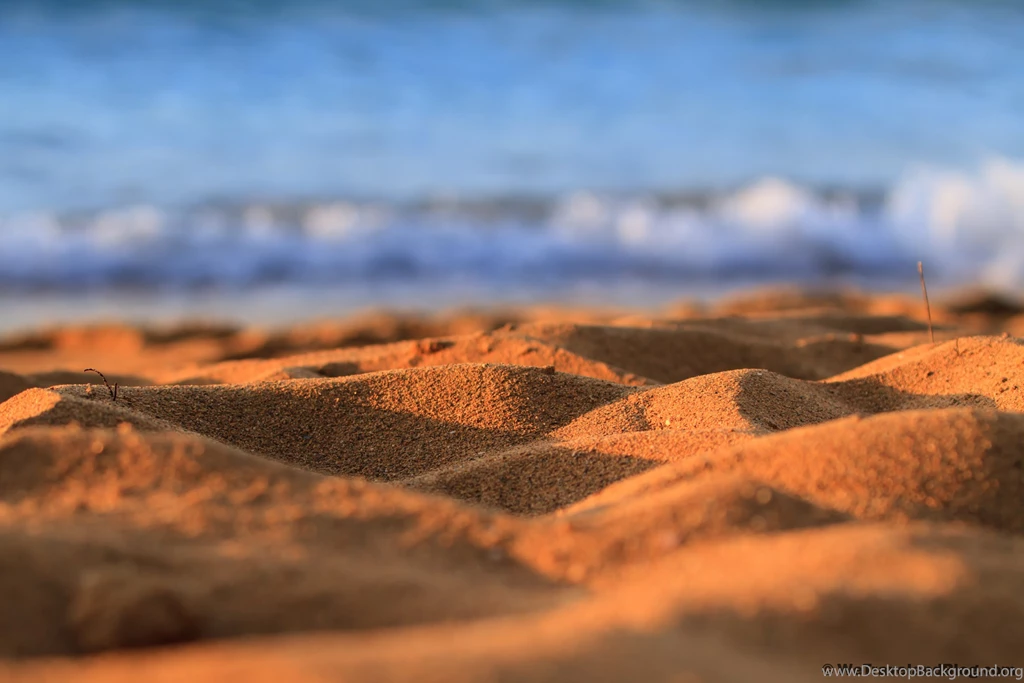 Wallpapers Wednesday – The Beach Life