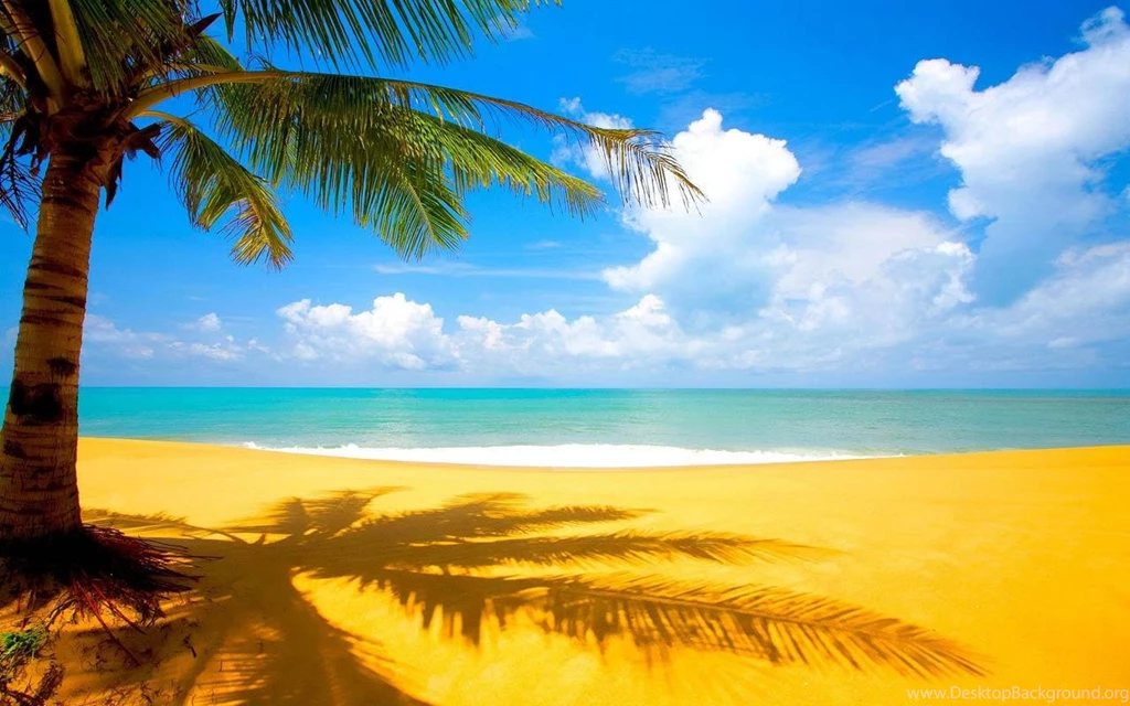 Sandy Beach Wallpapers HD Android Apps On Google Play