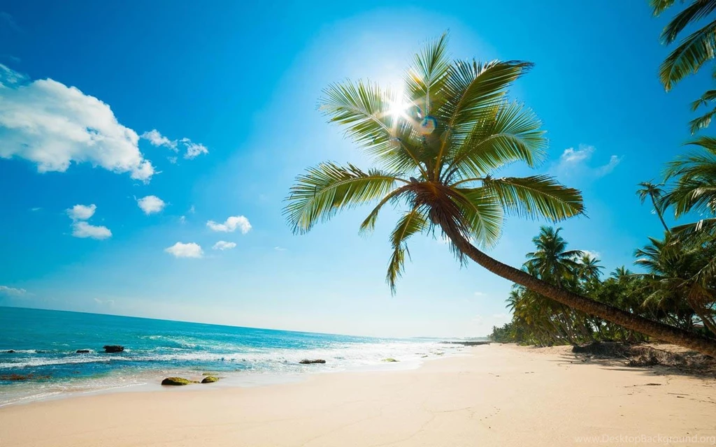 Sandy Beach Wallpapers HD Android Apps On Google Play