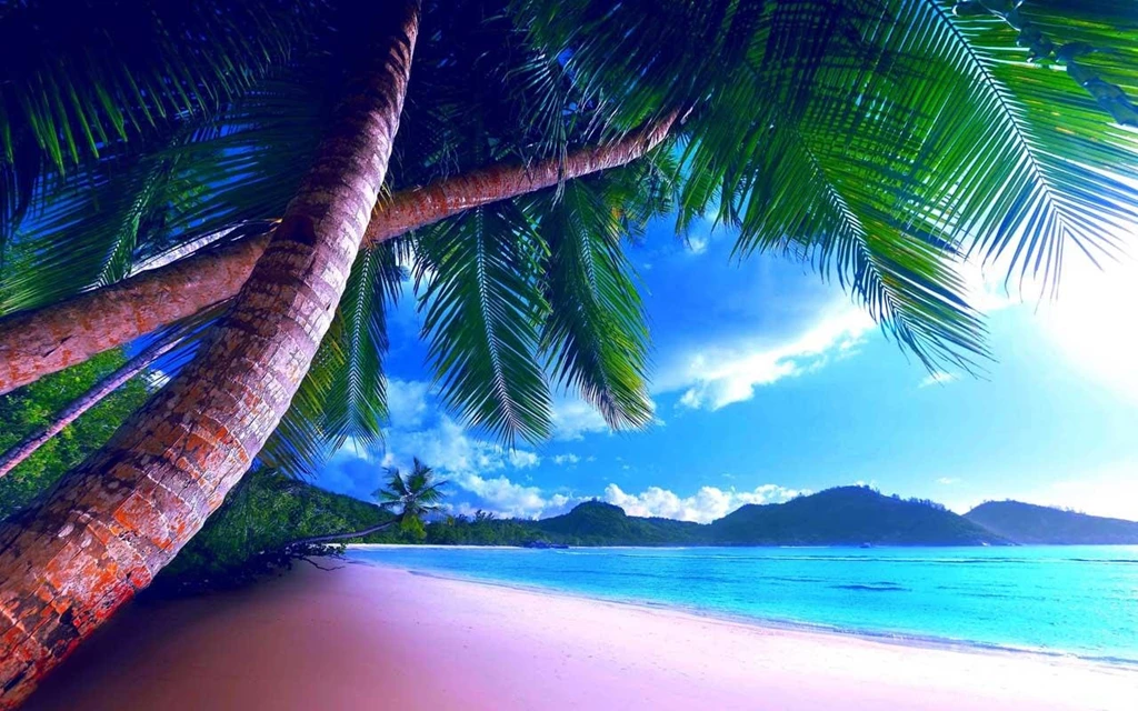 Sandy Beach Wallpapers HD Android Apps On Google Play
