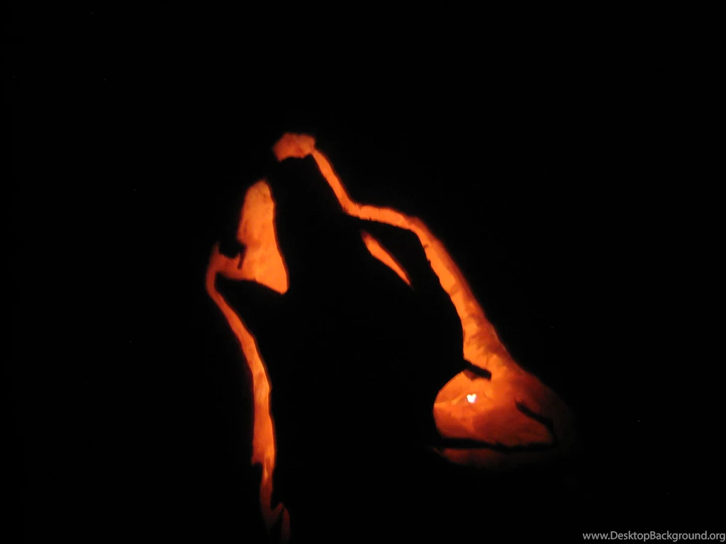 Dwelling & Telling: October 2010
