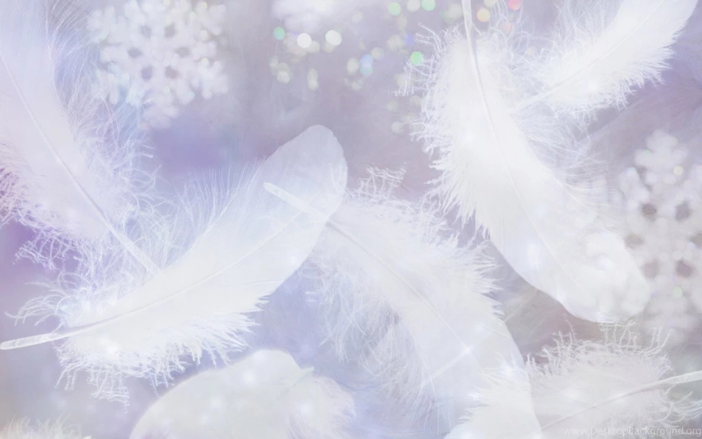 Feather Backgrounds Four