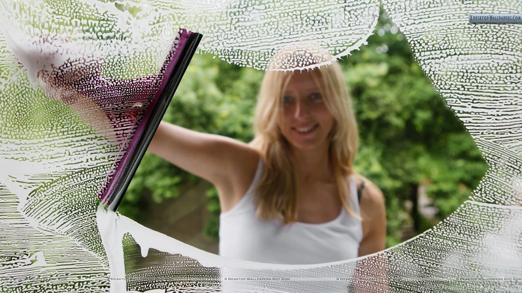 Girl Cleaning Window With Viper Wallpapers