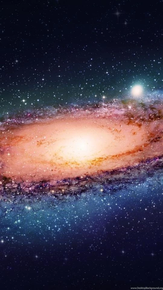 The Milky Way Galaxy