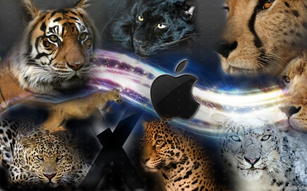 Lion HD Desktop Wallpapers – Download Free HD Wallpapers For Desktop