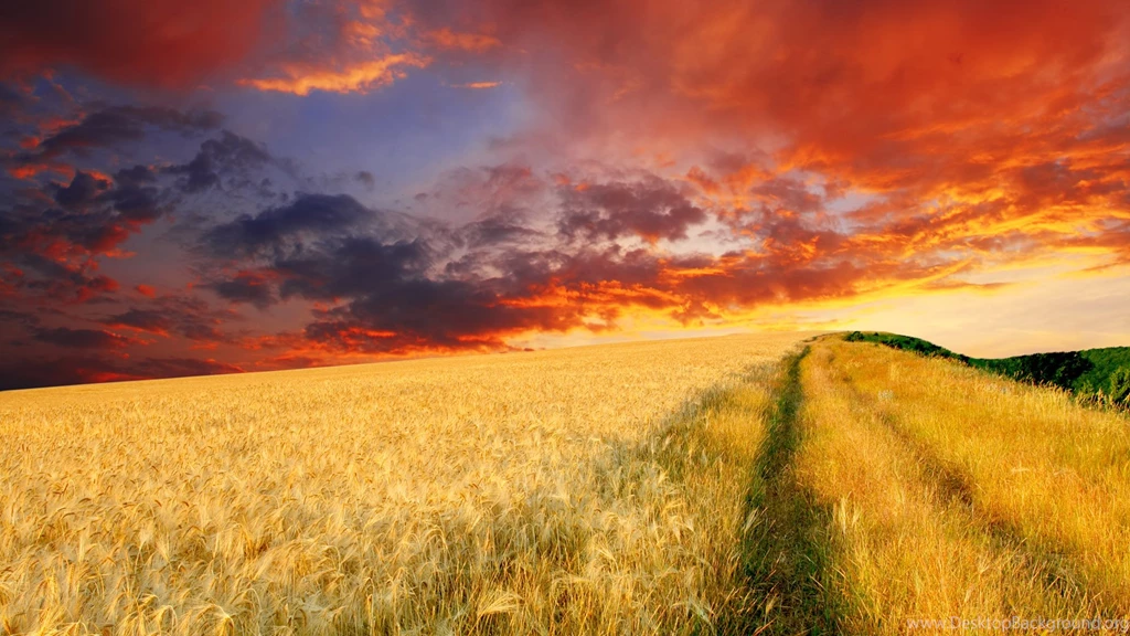 Farm Sunset