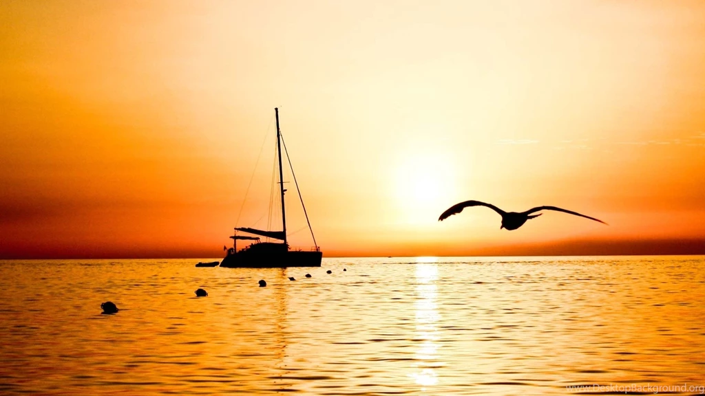 Download Wallpapers 1920x1080 Sailing Vessel, Fishing, Bird, Flight ...
