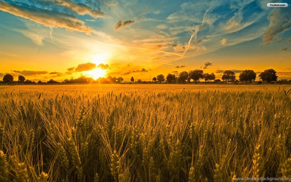 Free Beautiful Sunset Wallpapers For Mac @PNE « Wallx