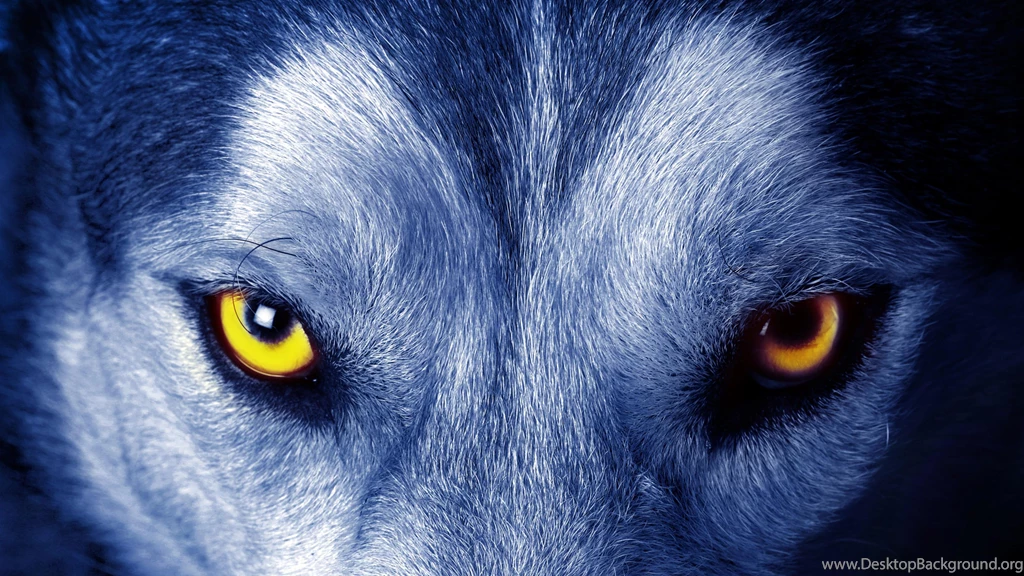 Soul Of Wolf 4K Ultra HD Wallpapers