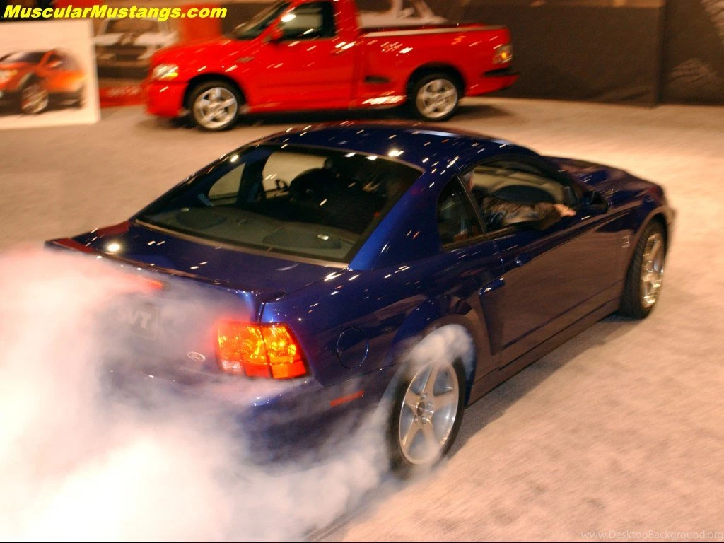 2003 SVT Cobra Burnout Wallpapers