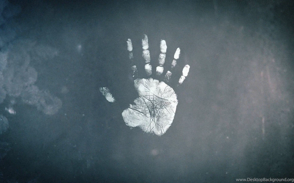 Fringe Wallpapers