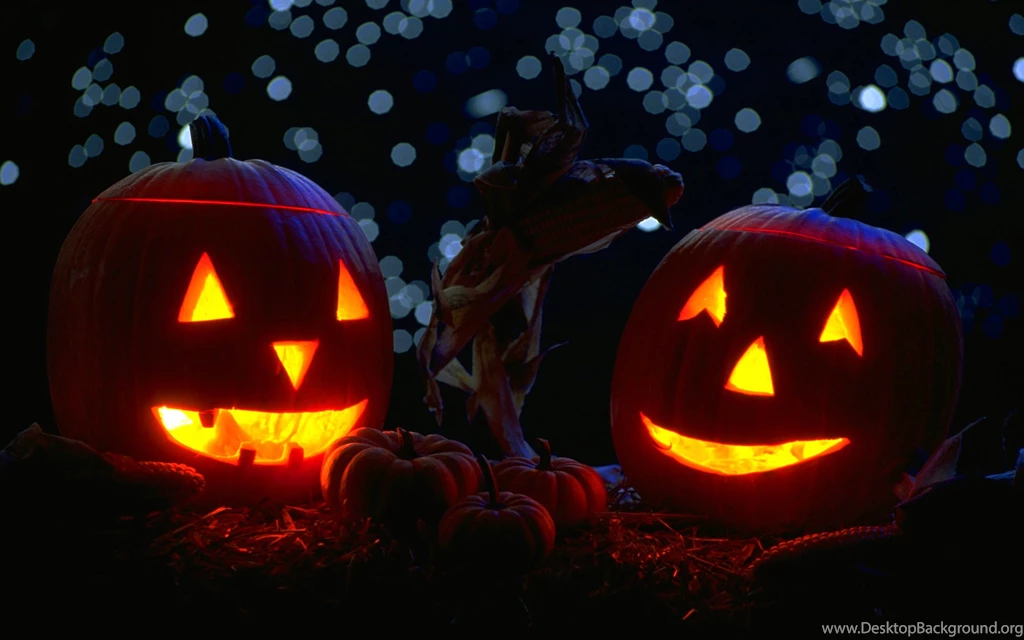 Index Of /wp content/uploads/bulkimages 1446062735/