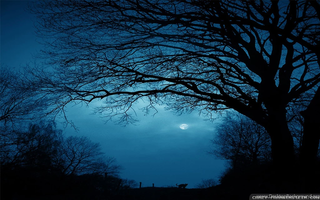 Hd Nature Wallpapers, Landscape, Flowers, Green, Windows 10 ...