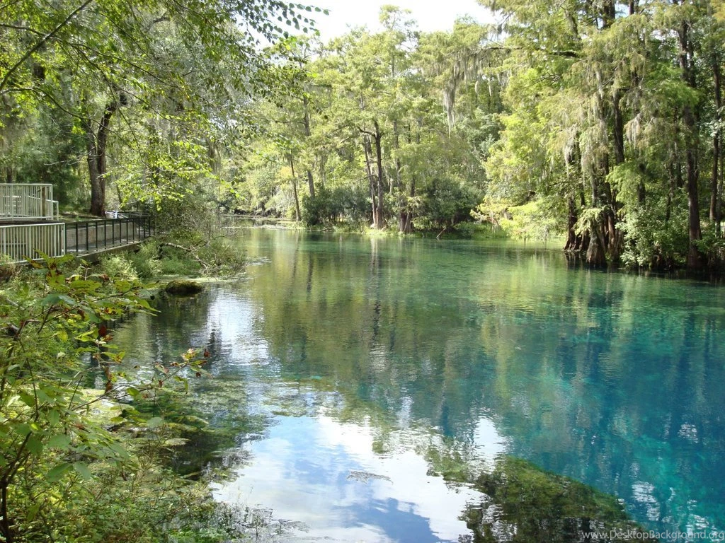 Fountain Of Youth Manatee Springs
