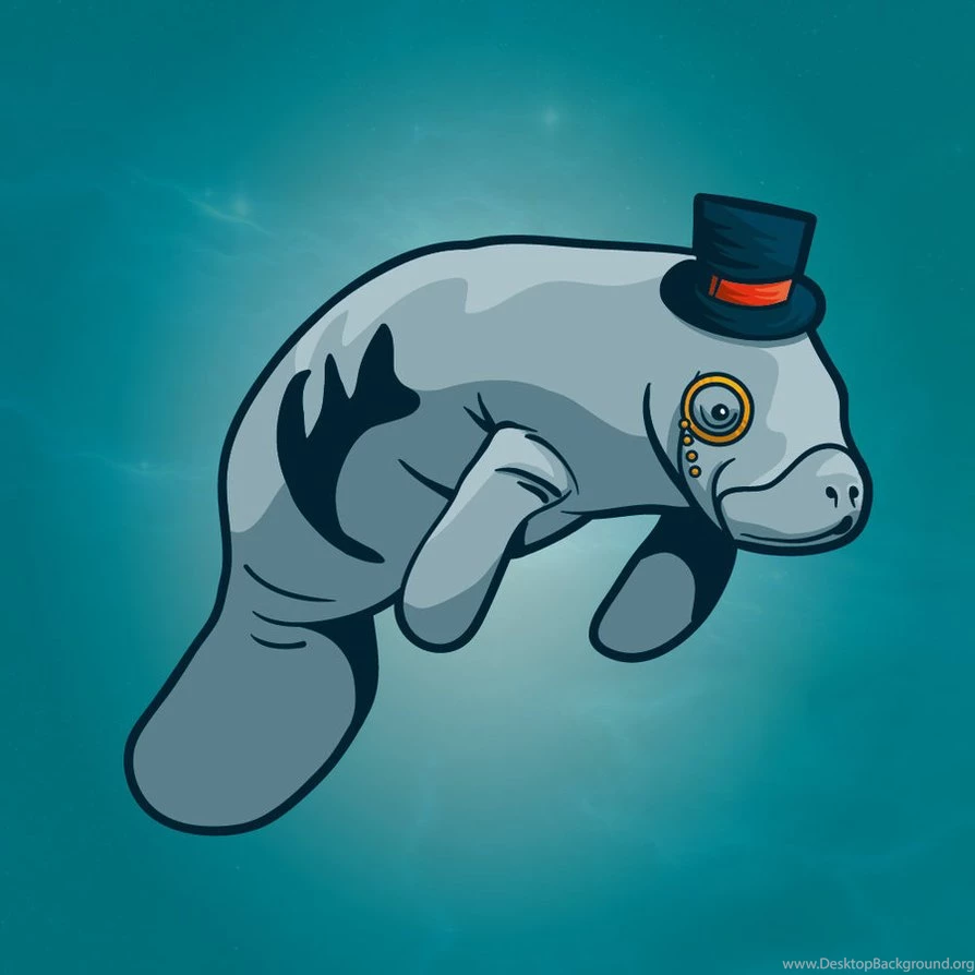 Fancy Manatee By Rainbow machine On DeviantArt