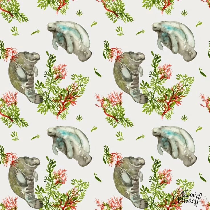 Naomese   Naomi Bardoff's Art Blog: Manatee, Seaweed, And Coral ...