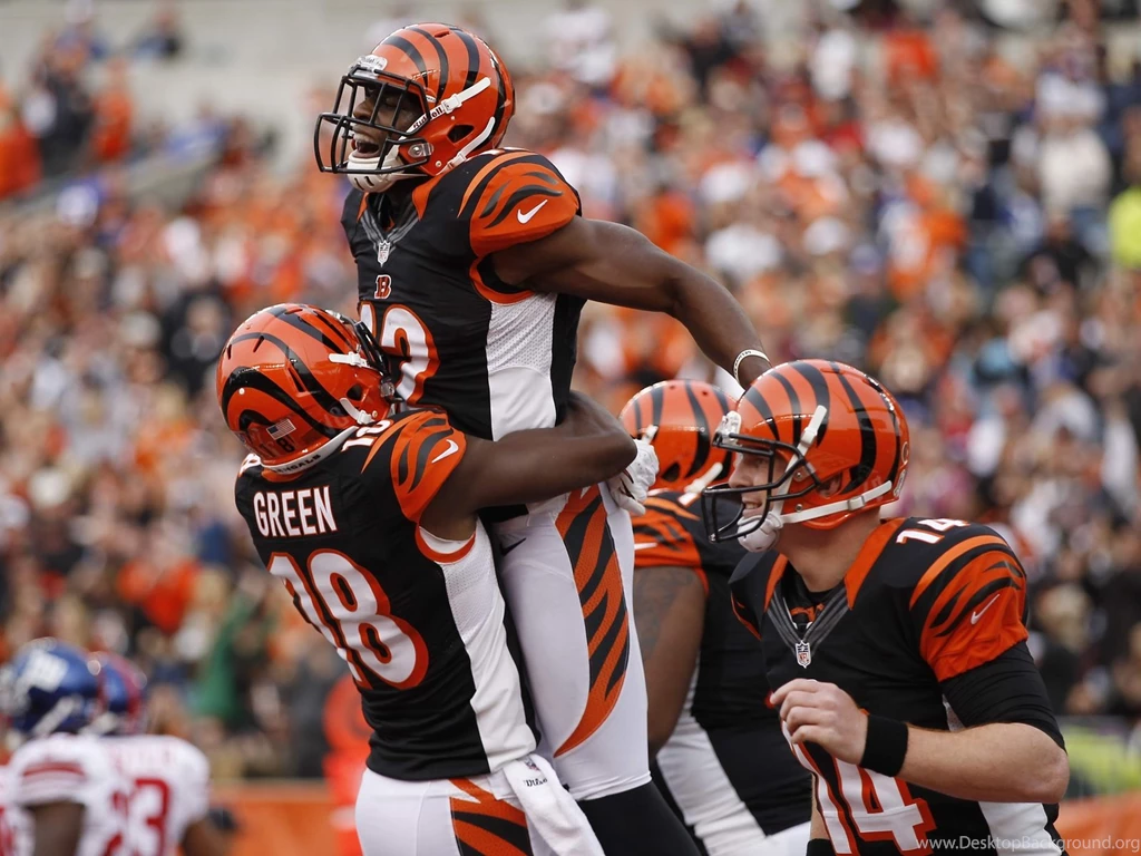 1600x1200 American Football, Nfl, Cincinnati Bengals, Cincinnati ...