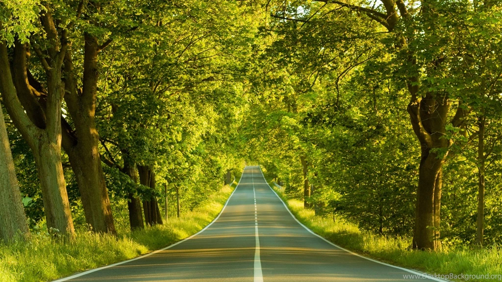 Free Wallpapers 413 HD Wallpapers