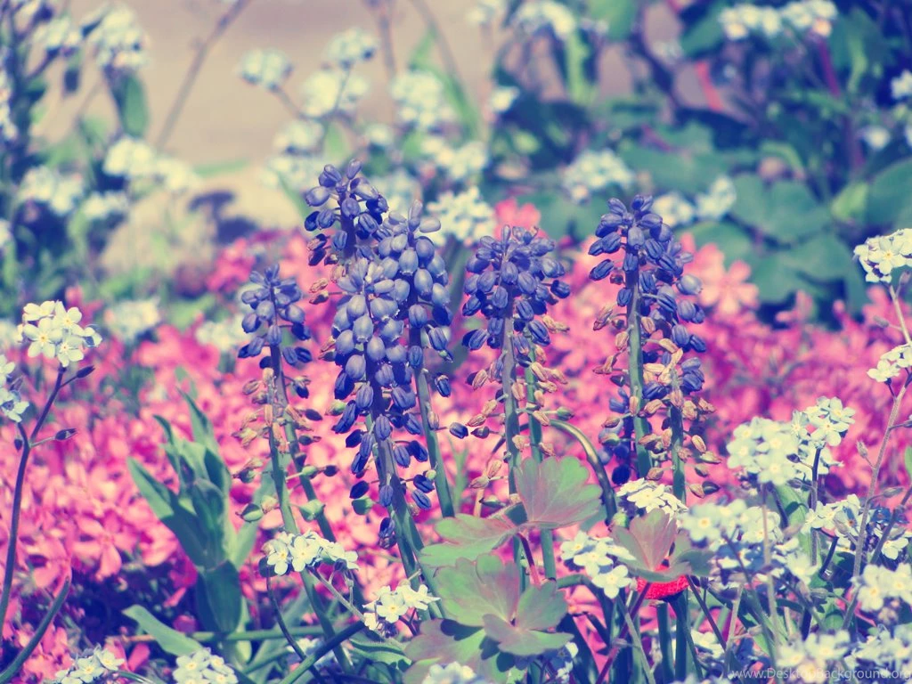 Flowers Page 84