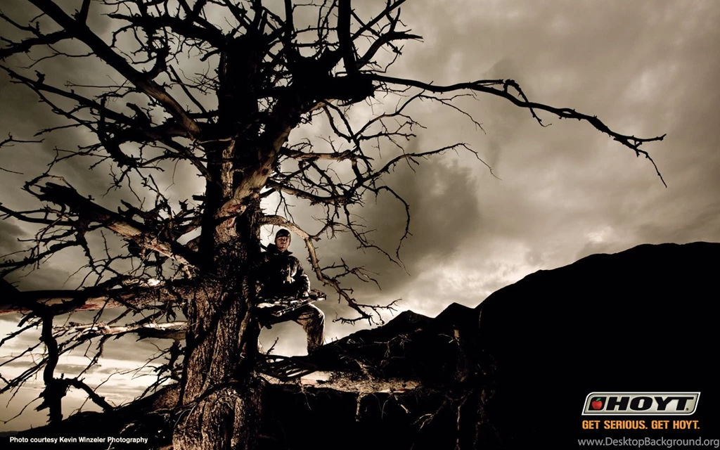 Wallpapers Diamond Archery 1280x800