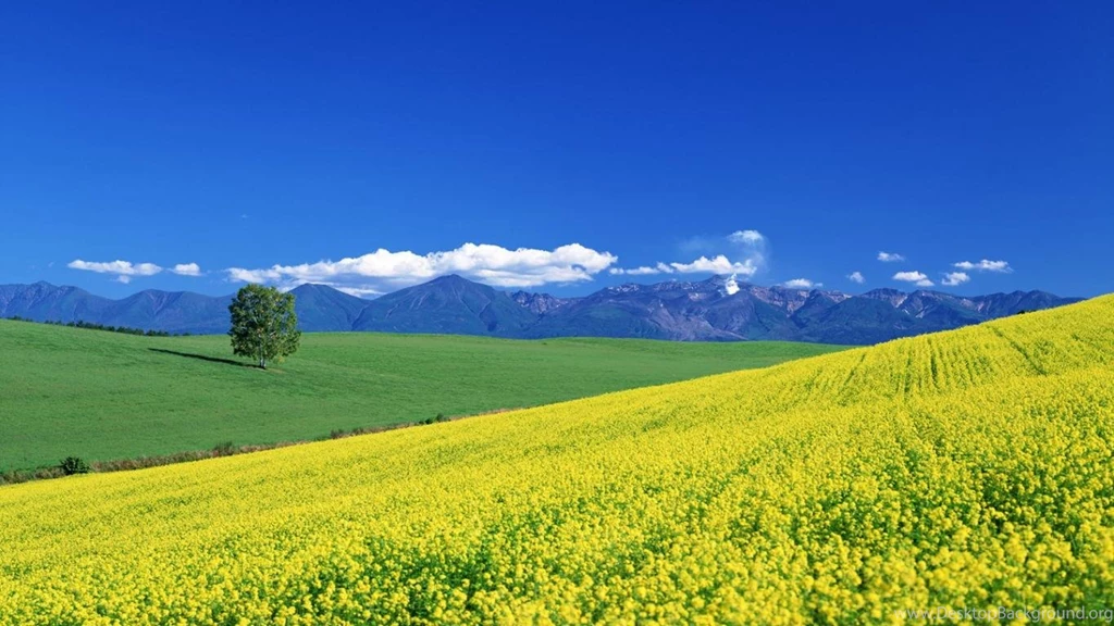 Beautiful Spring Landscape Wallpapers Download HD Attachment 16714 ...