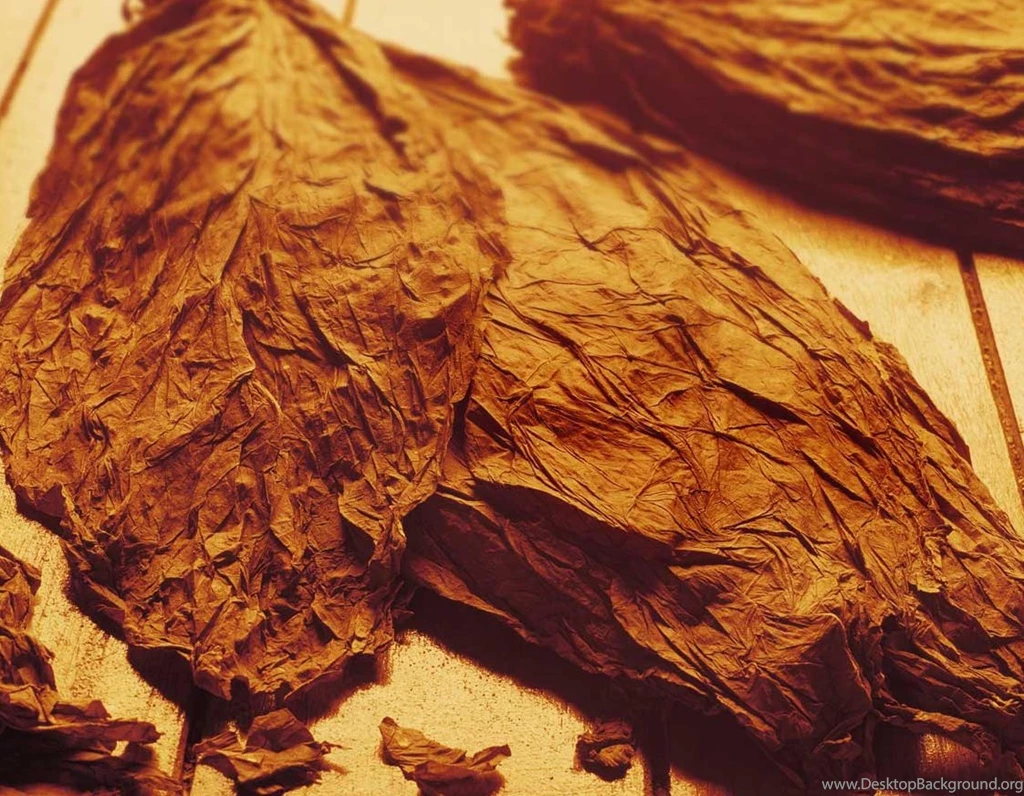 Rehabilitation Drugs For Bad Effects Of Health