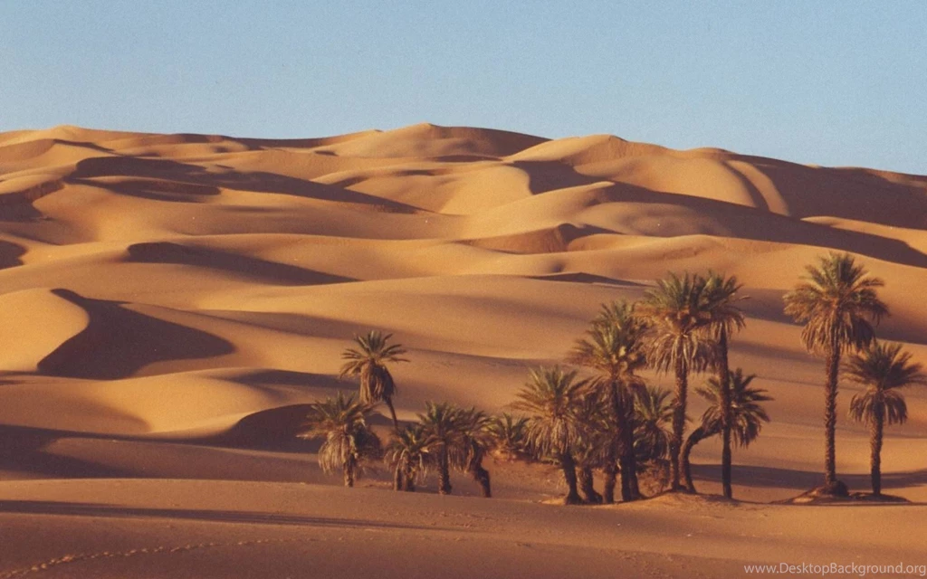 EWB0005126 sahara view_103217 1920x1200.jpg