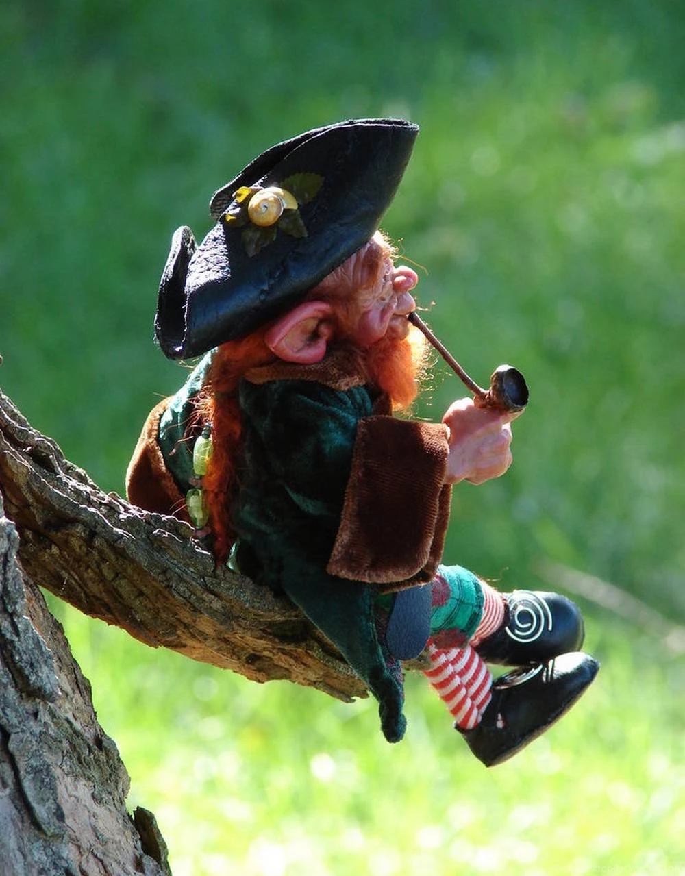 Leprechaun Desktop Wallpapers