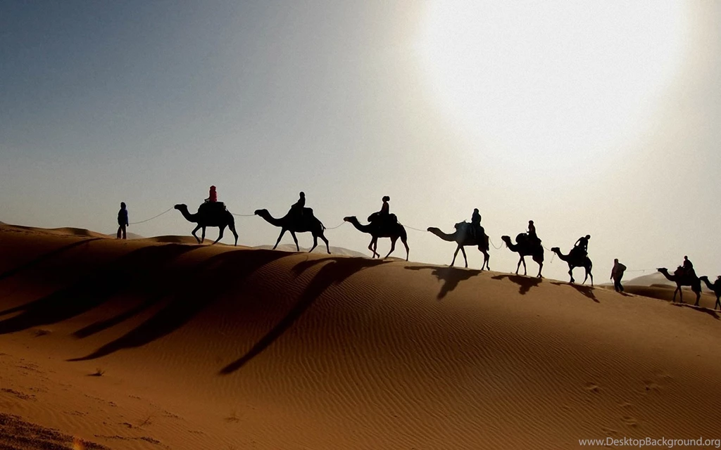 Sahara 1920x1200 Wallpapers,Sahara 1920x1200 Wallpapers & Pictures ...