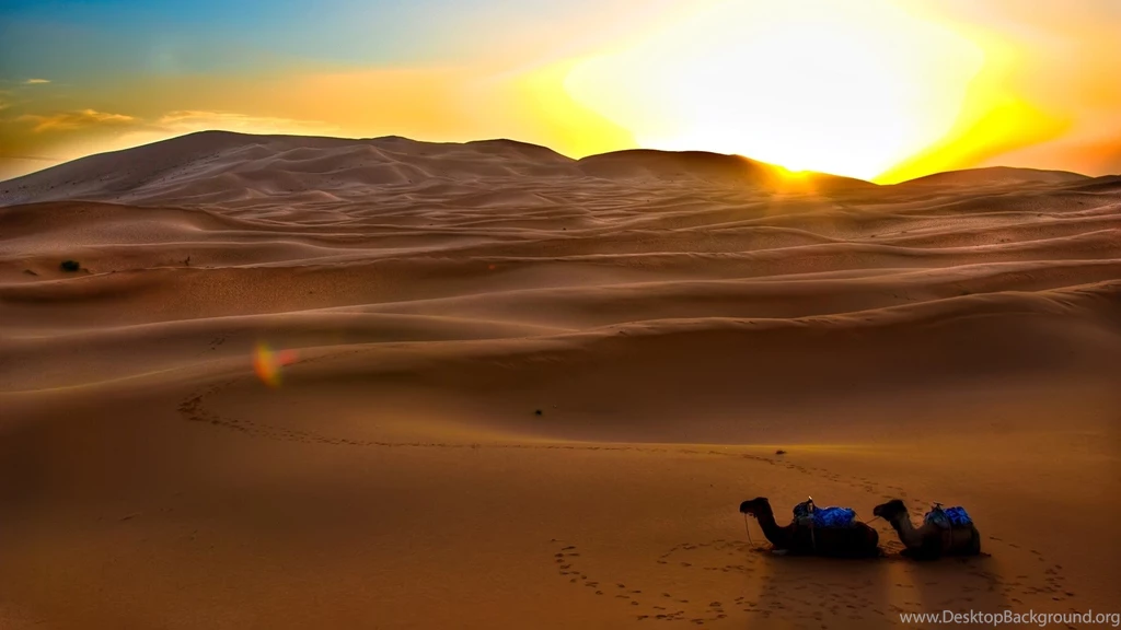 Sahara Desert Full HD Wallpapers : Nature Wallpapers Semrawut