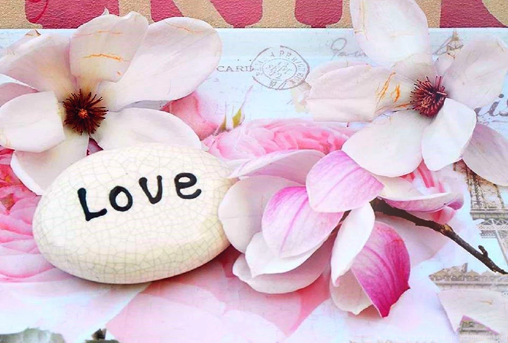 Flowers: Magnolias Love Flowers Colors Pink Romantic Softness ...