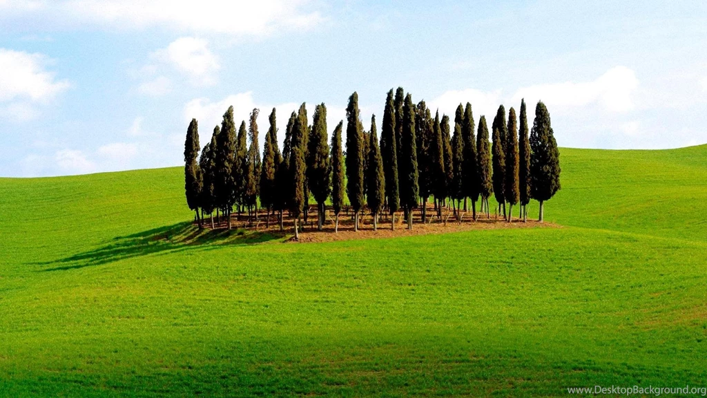 Scenic Backgrounds