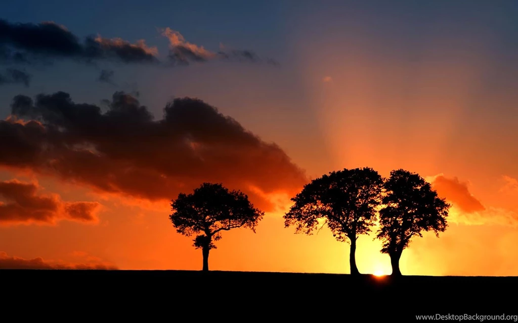 Autumn Sunset HD