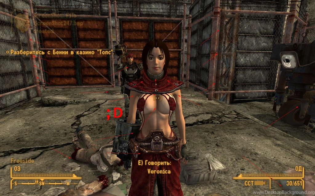 Fallout New Vegas How To Enable NVIDIA Ambient Occlusion At ...