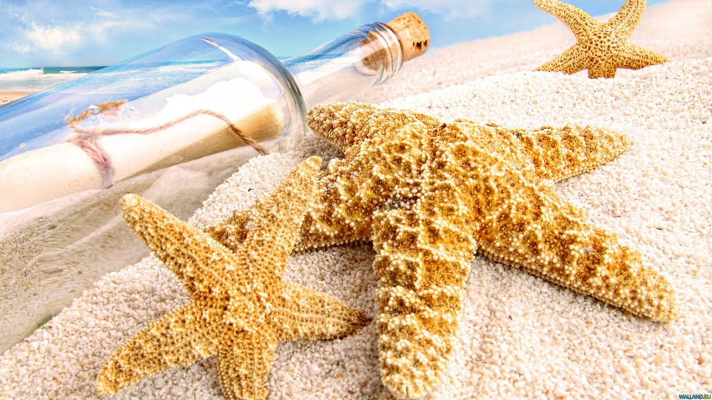 Starfish Ocean Sea Sealife Fish Bokeh Cool >> HD Wallpaper, Get It ...