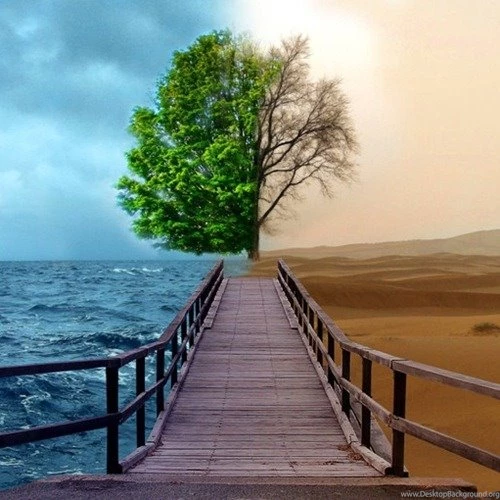 30 Really Beautiful Apple iPad Wallpapers