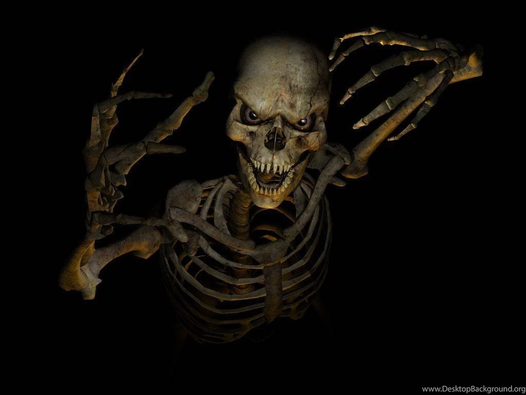 Skeleton Bones Danger Evil Wallpapers (
