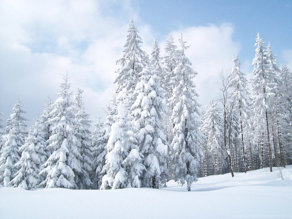 Snow