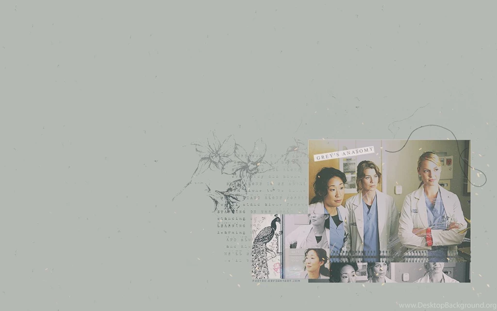 Greysanatomy DeviantArt