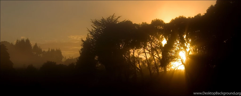 Download Sunsets Nature Wallpapers 2560x1024