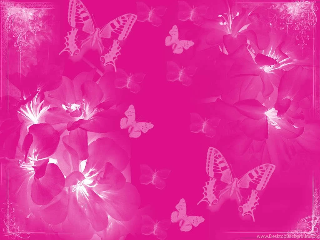 Pink Wallpapers 11 Best Wallpapers Collection