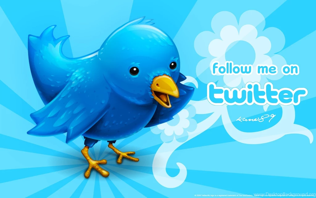 Twitter Followers, Custom, 1920x1200 HD Wallpapers And FREE Stock Photo