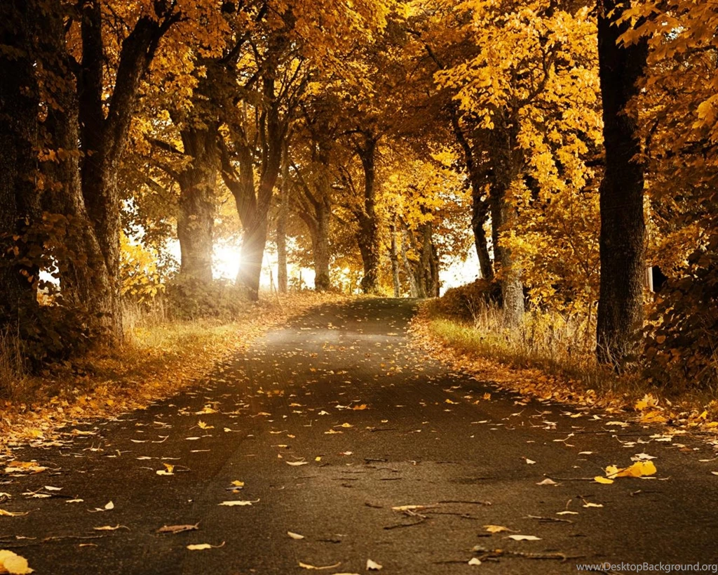 Wallpapers For Desktop Hd 1280x1024